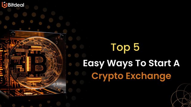 Top 5 Ways To Start A Cryptocurrency Exchange in 2023.jpg