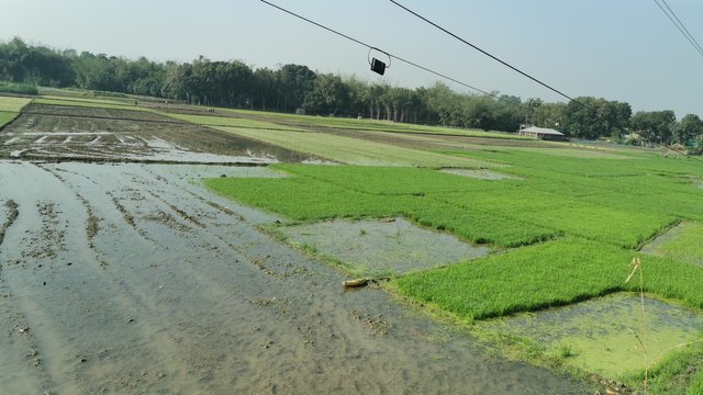 IMG_20250208_093424.jpg