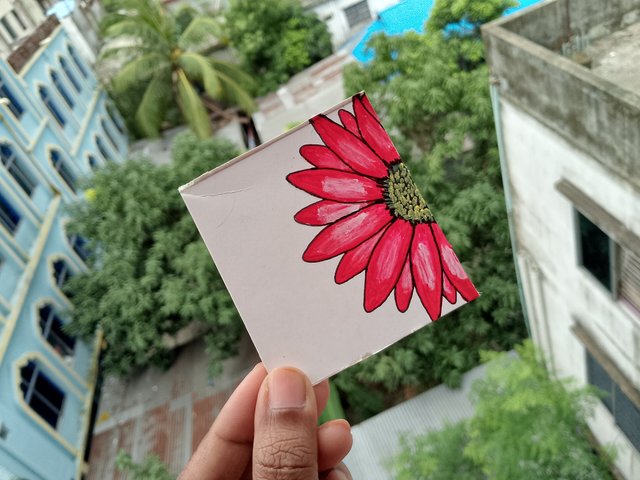 1000058280.jpg