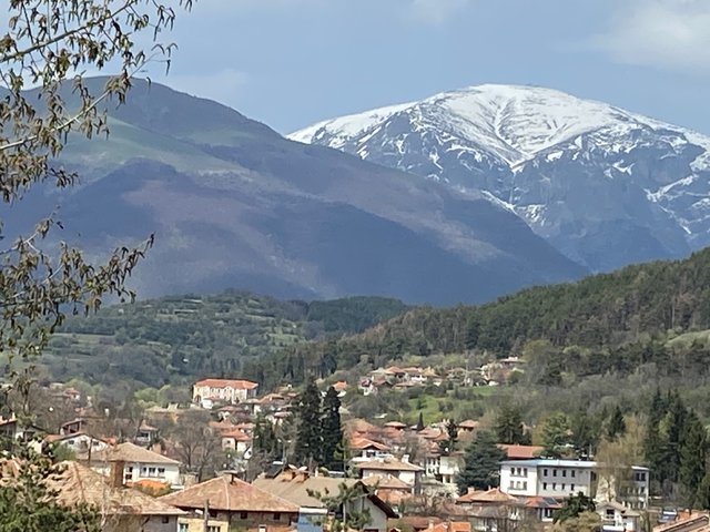 IMG7392.JPG