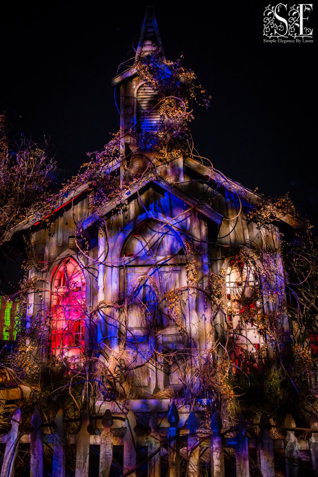 HHN (10).jpg