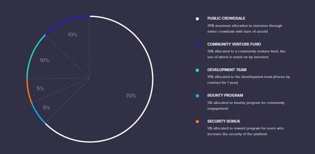 Tokenn Allocation.jp.jpg