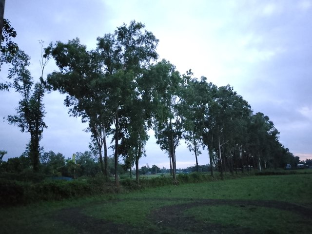 1000043783.jpg