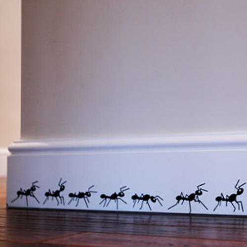 ant-killer-for-house-ants.jpg