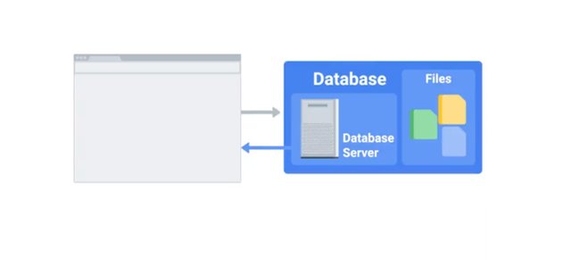 database.jpg