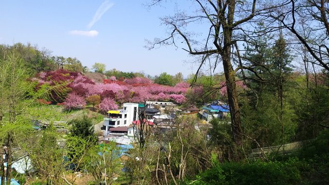 20220416_123751.jpg