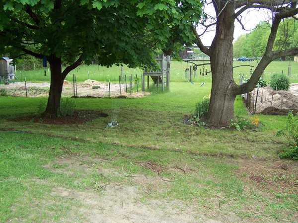 New Herb garden - where the sod goes crop May 2016.jpg