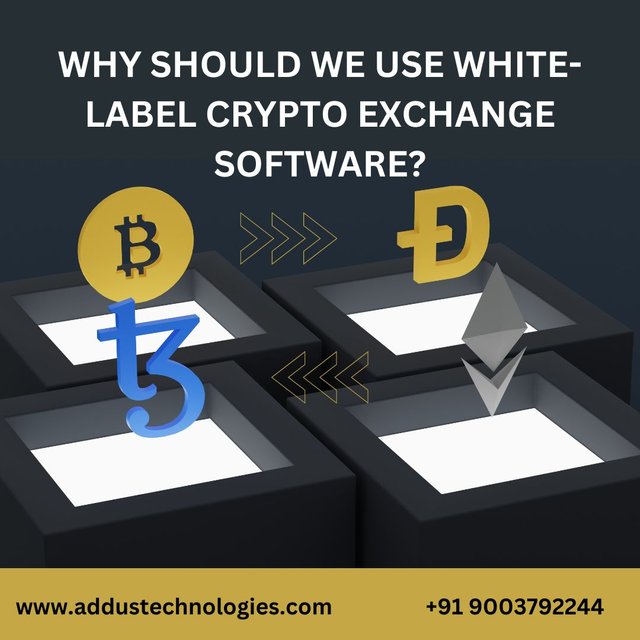 Why should we use White-label crypto exchange software? jpg