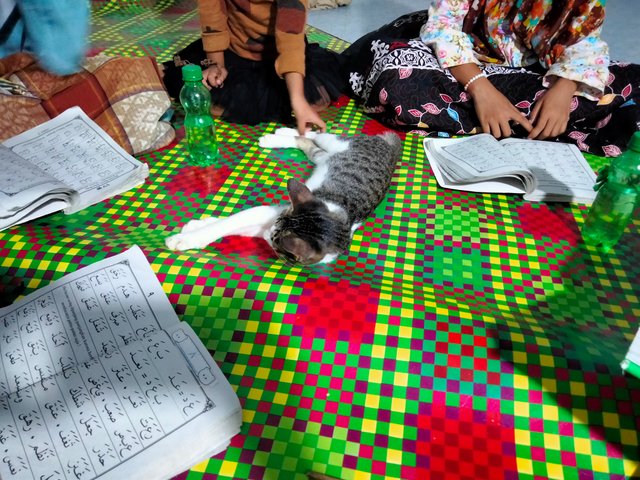 IMG20250702191724.jpg