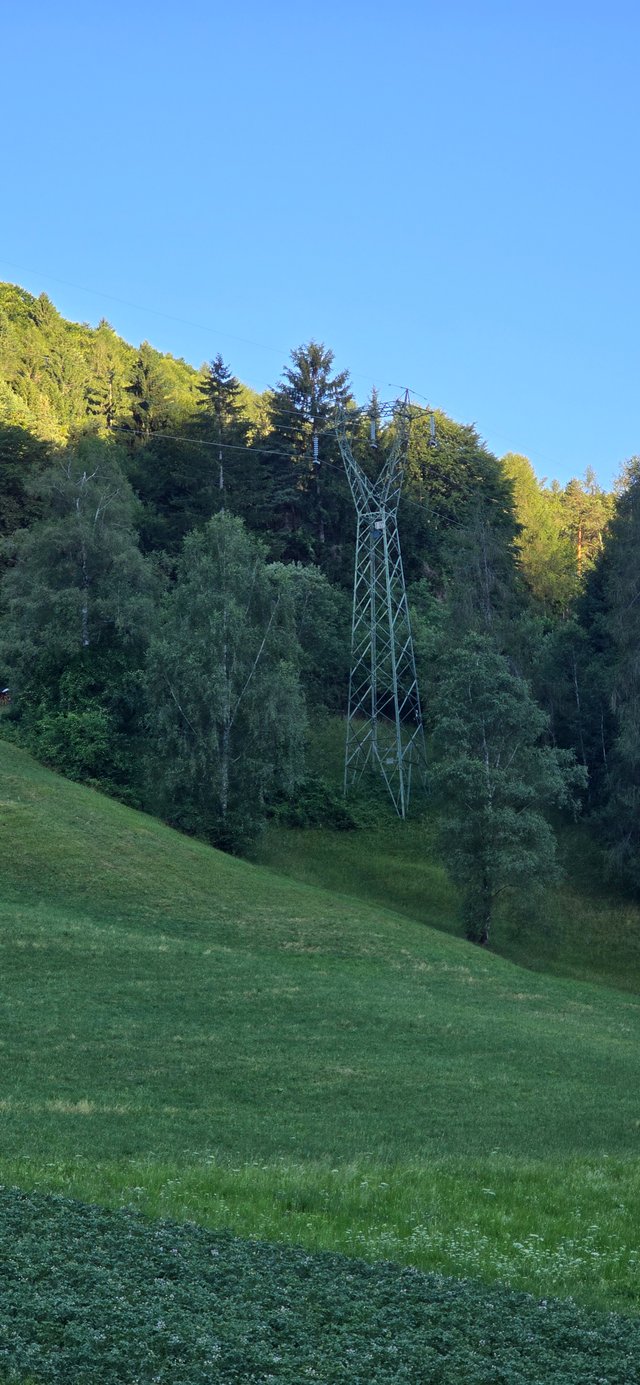 20250629_065950.jpg