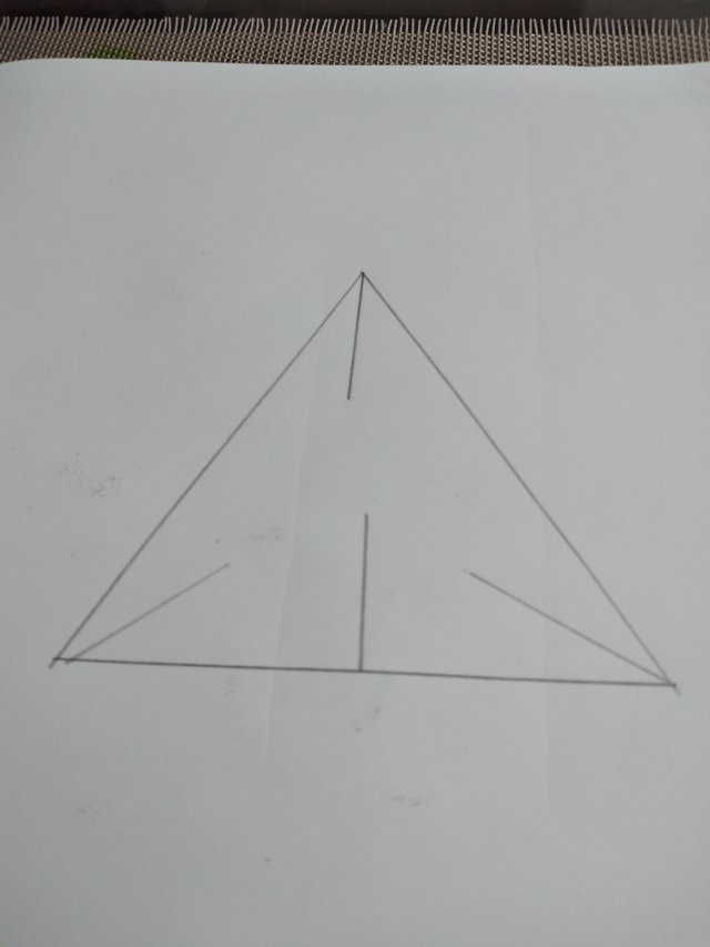 20250722_094823.jpg