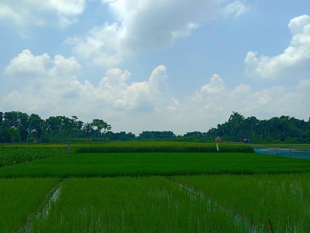 IMG_20250723_155316.jpg