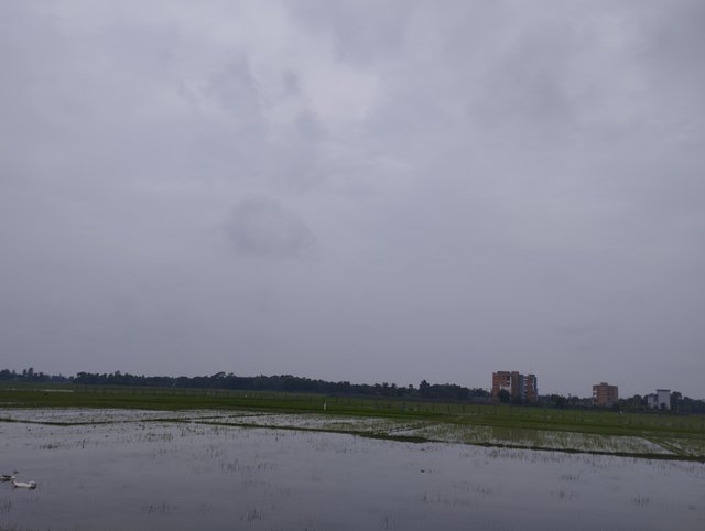 IMG_20230813_122812.jpg