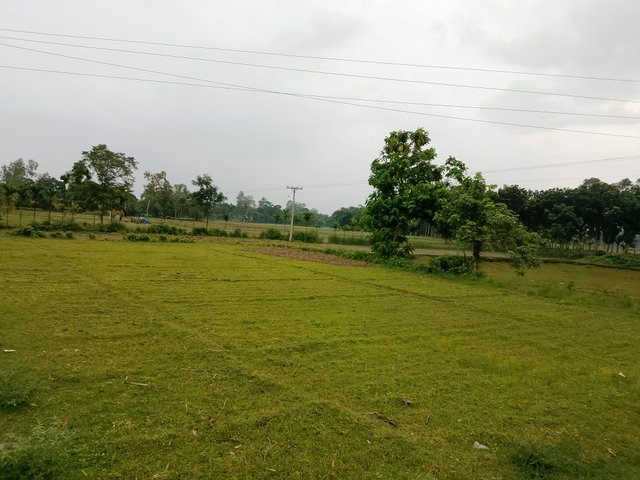 1000042700.jpg