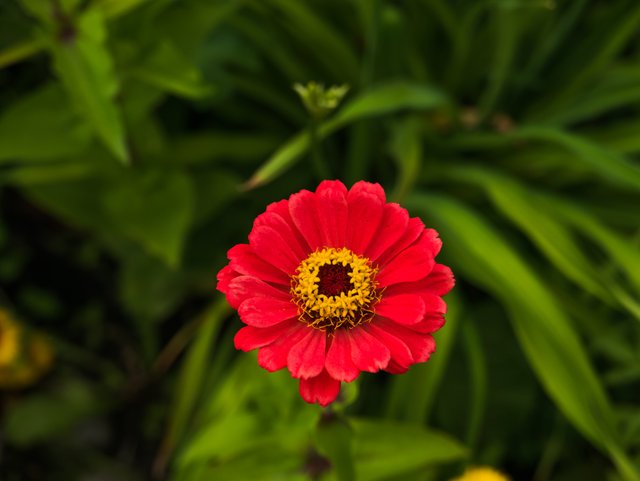 DSC_3511