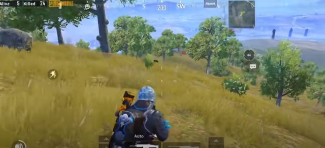 pubg1.PNG