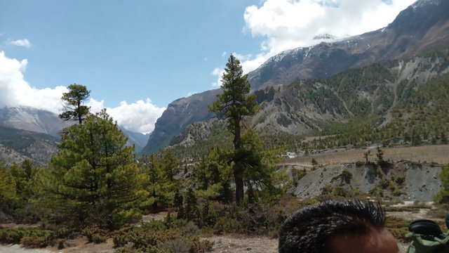20250505_105644.jpg