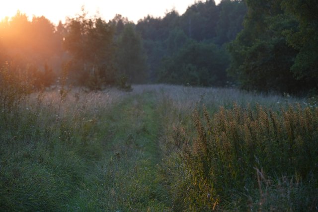 DSC02808.jpg