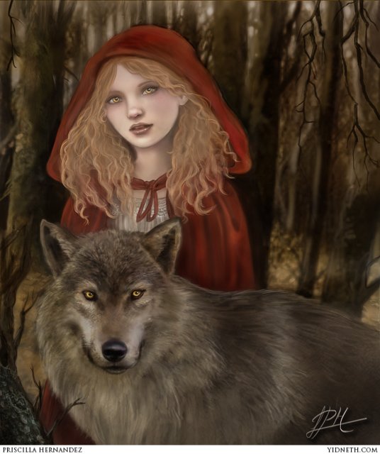 little red riding hood and the wolf drawing