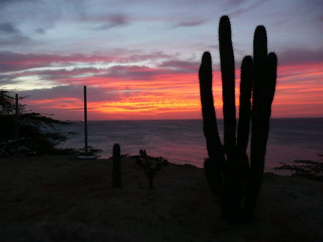 ocaso en paraguana.JPG