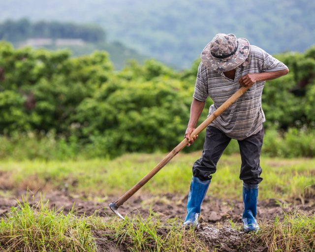 male-farmer-who-is-using-shovel-dig-soil-his-rice-fields.jpg