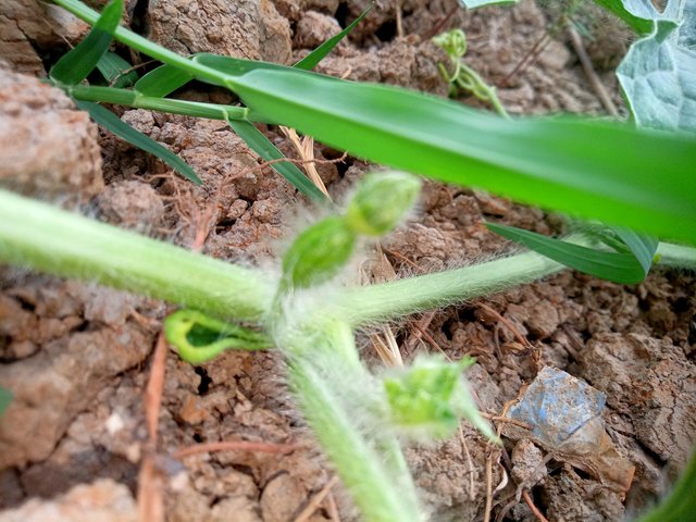 IMG20250903165000.jpg
