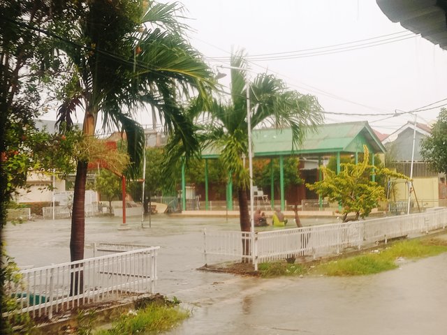 IMG20250128172137.jpg