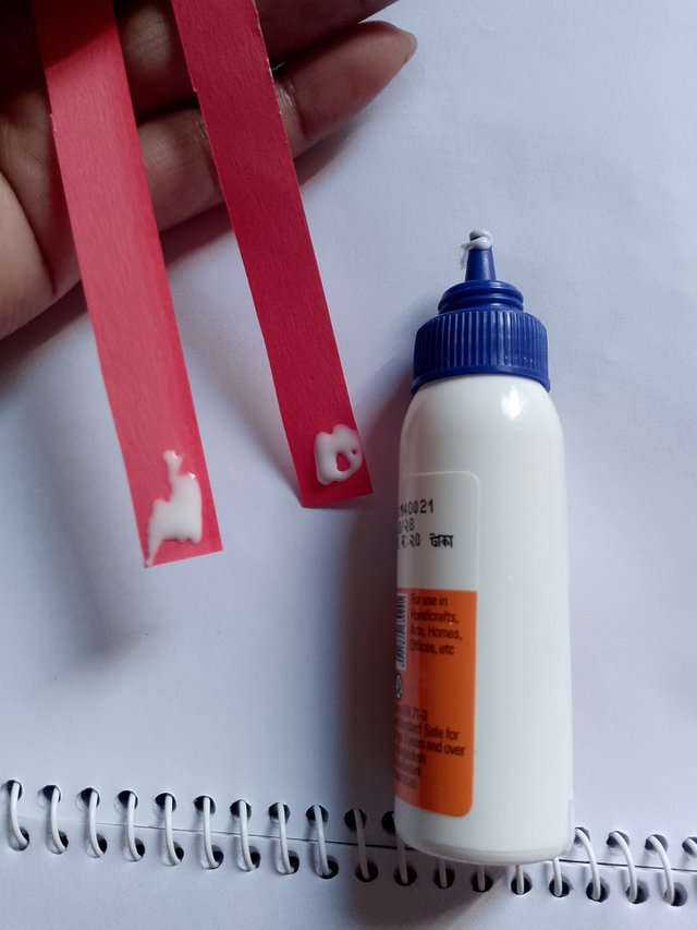 1000053711.jpg
