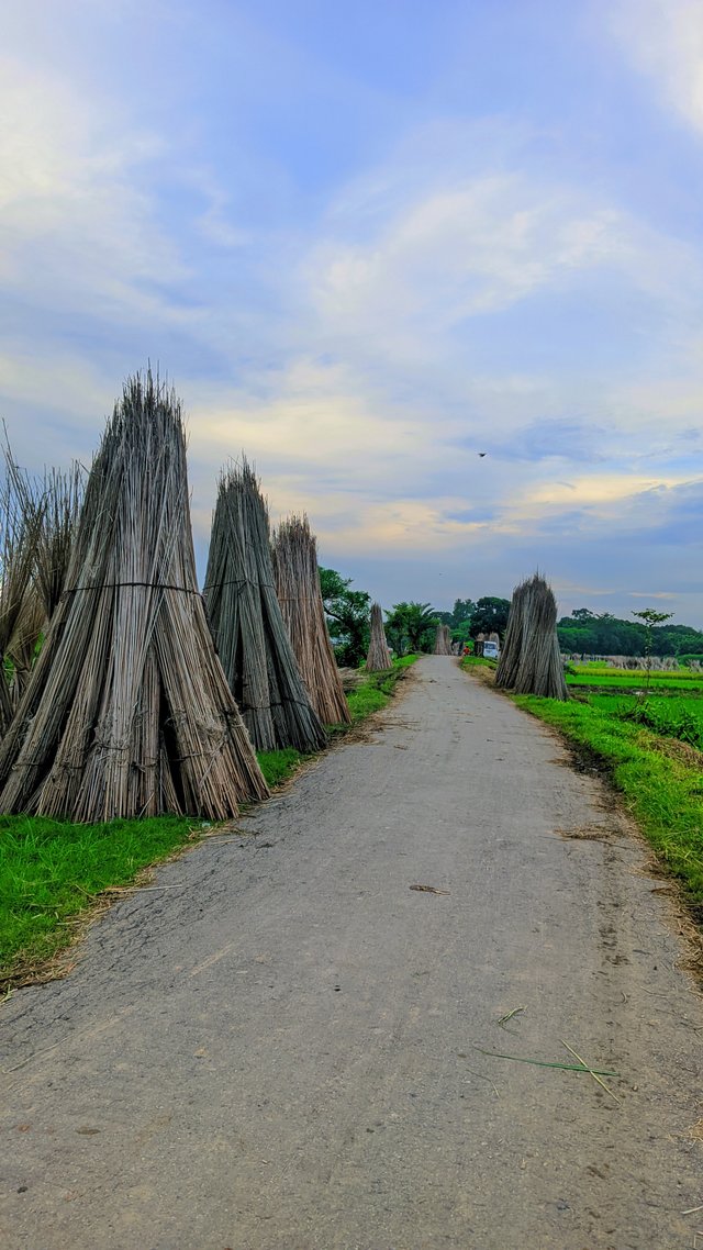 ®GcamHero_20240827_175301_🍏🌶️ Cinematic Glow- By RAJU HASAN - LMC8.4R17 - AUTO.jpg