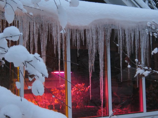 long icicles on sunroom.JPG