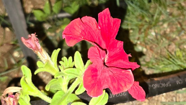 20250125_023227.jpg