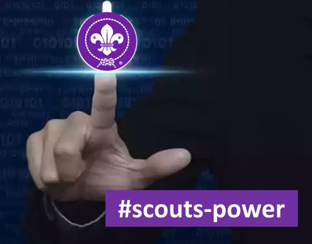 z Scouts Power.jpg