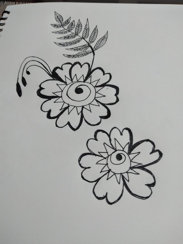 20250724_122708.jpg