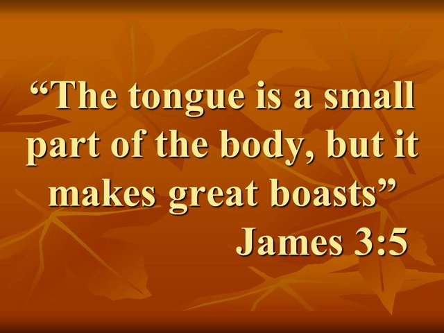 Reflections from the Bible. The tongue is a small part of the body, but it makes great boasts. James 3,5.jpg