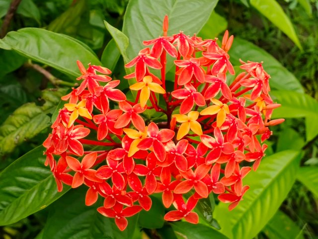 IMG_20250714_131735_816.jpg