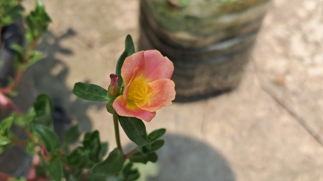 20250509_121516.jpg