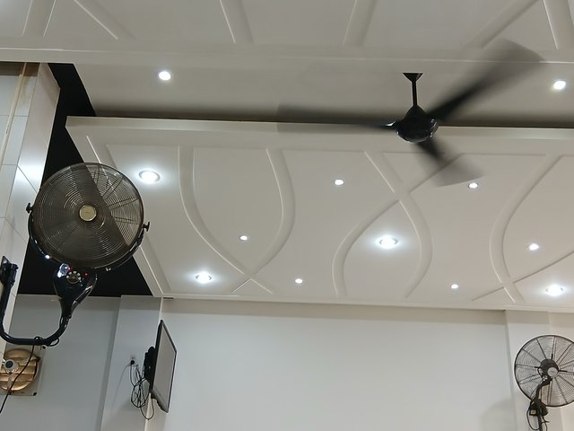 20250428_145225.jpg