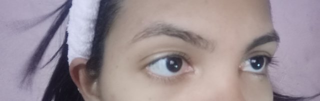 tipo de cejas.jpeg