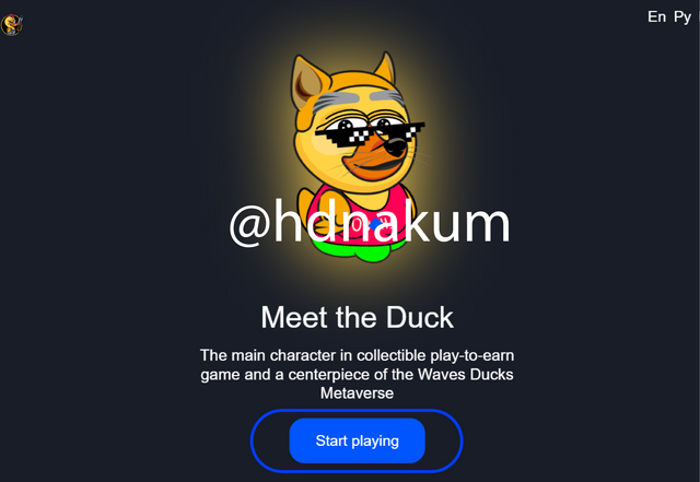 wave duck.png