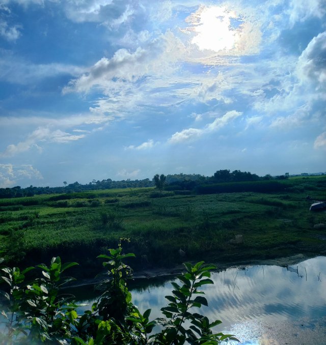 20250703_165149.jpg
