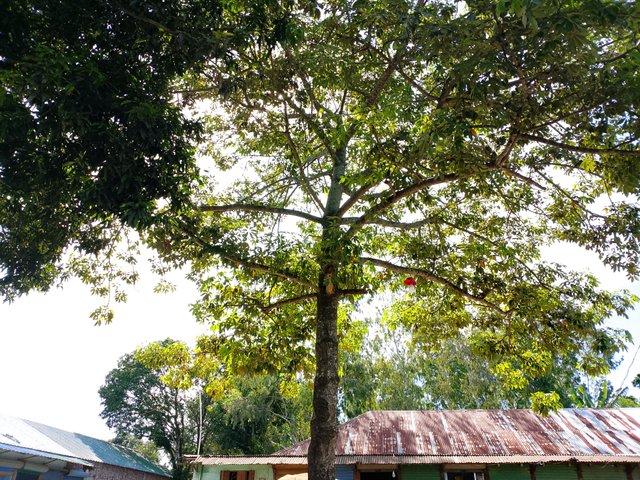 1000047445.jpg