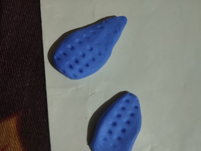 1000028544.jpg