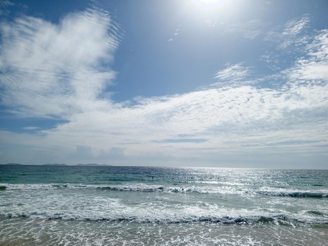 IMG_20250504_085124_095.jpg