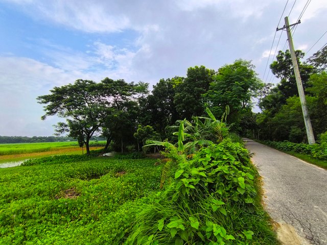 IMG_20250706_063709.