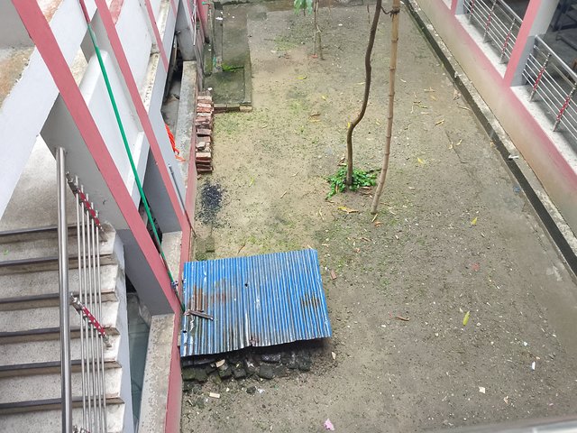 1000036322.jpg