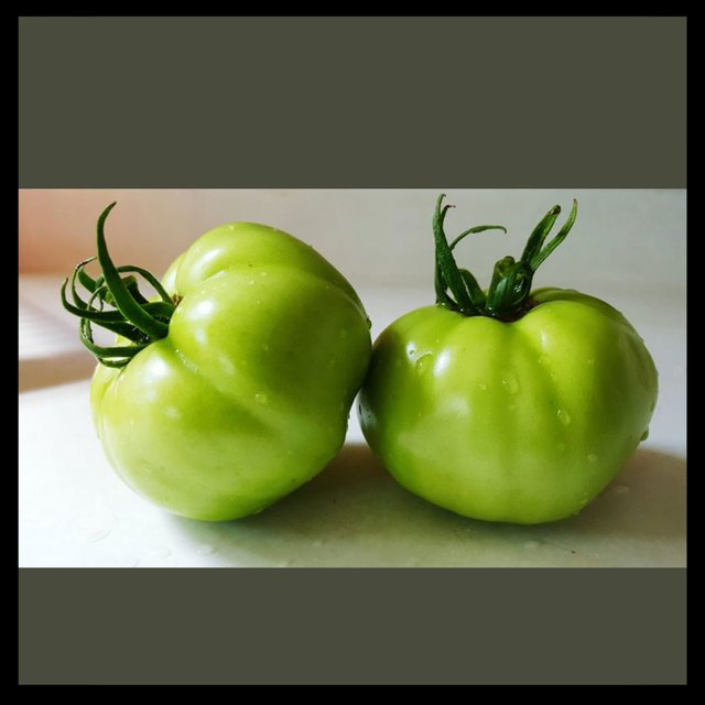 green-tomato-reference.jpg