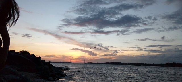 IMG_20210308_182827_935.jpg