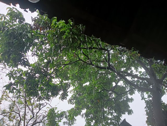 IMG20250416145912.jpg