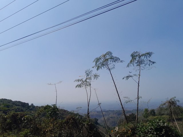 1000050363.jpg