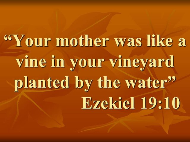 Lament of the prophet Ezekiel. Your mother was like a vine in your vineyard planted by the water. Ezekiel 19,10.jpg